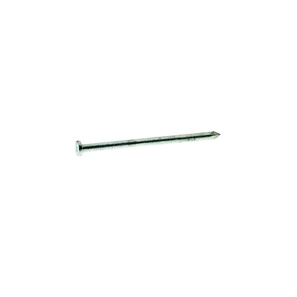 Common Nail, 3-1/4 in L, 12D, Steel, Hot Dipped Galvanized Finish, 9 ga